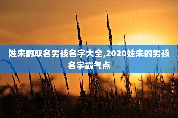 姓朱的取名男孩名字大全,2020姓朱的男孩名字霸气点