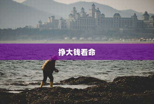 挣大钱看命