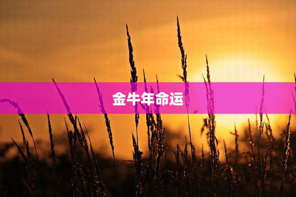金牛年命运