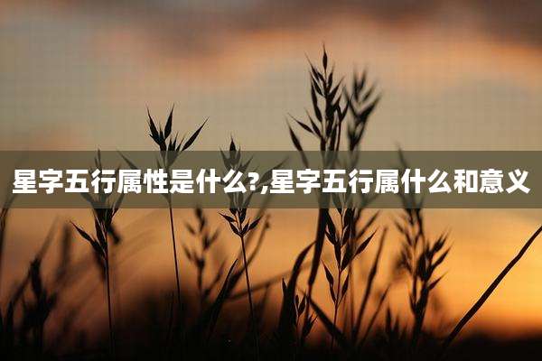 星字五行属性是什么?,星字五行属什么和意义