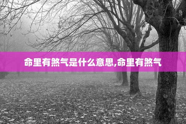 命里有煞气是什么意思,命里有煞气