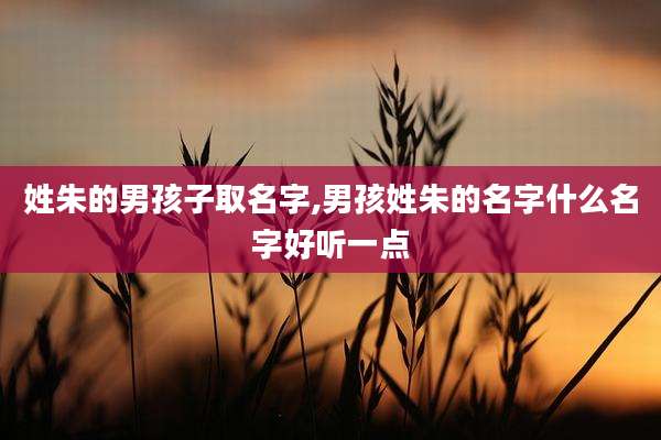 姓朱的男孩子取名字,男孩姓朱的名字什么名字好听一点