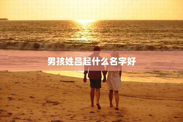 男孩姓吕起什么名字好
