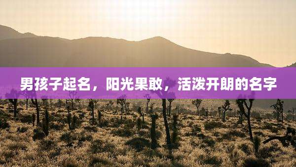 男孩子起名，阳光果敢，活泼开朗的名字