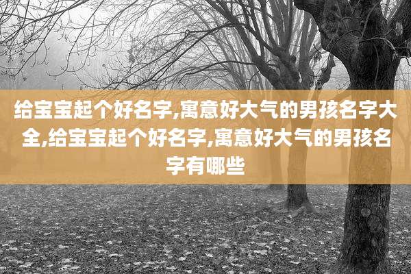 给宝宝起个好名字,寓意好大气的男孩名字大全,给宝宝起个好名字,寓意好大气的男孩名字有哪些