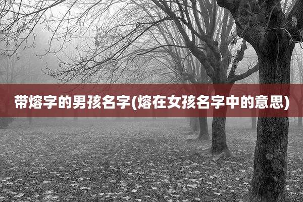 带熔字的男孩名字(熔在女孩名字中的意思)