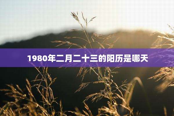 1980年二月二十三的阳历是哪天