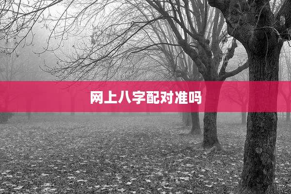 网上八字配对准吗