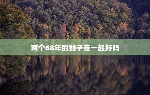 两个68年的猴子在一起好吗