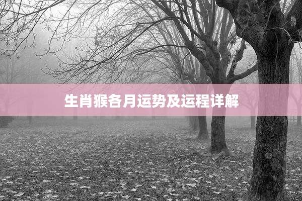 生肖猴各月运势及运程详解