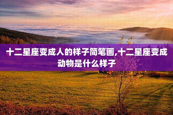 十二星座变成人的样子简笔画,十二星座变成动物是什么样子