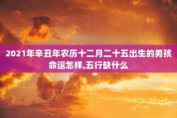 2021年辛丑年农历十二月二十五出生的男孩命运怎样,五行缺什么