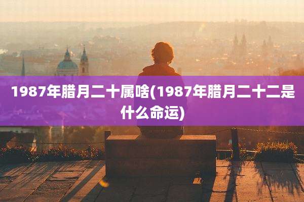 1987年腊月二十属啥(1987年腊月二十二是什么命运)