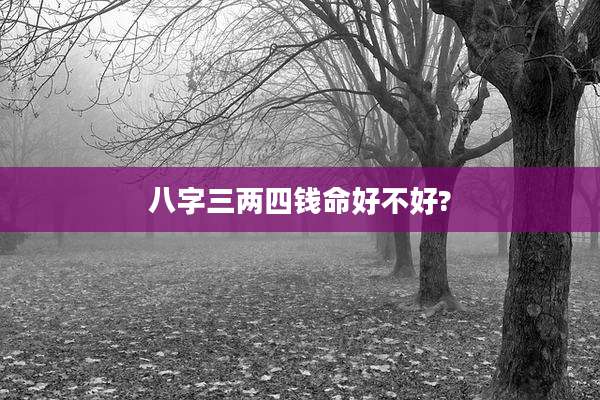 八字三两四钱命好不好?