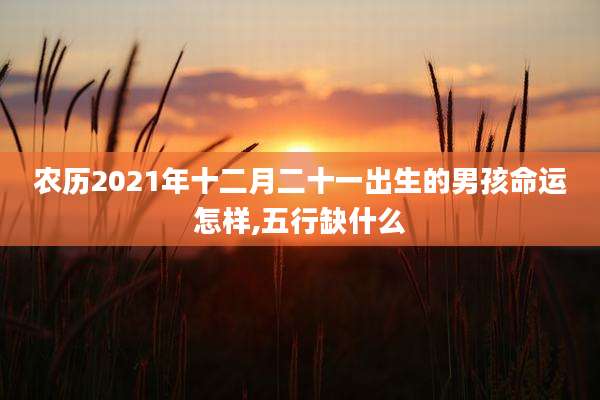 农历2021年十二月二十一出生的男孩命运怎样,五行缺什么