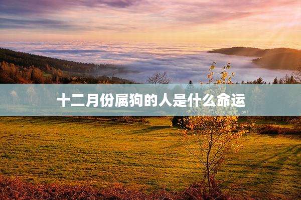 十二月份属狗的人是什么命运