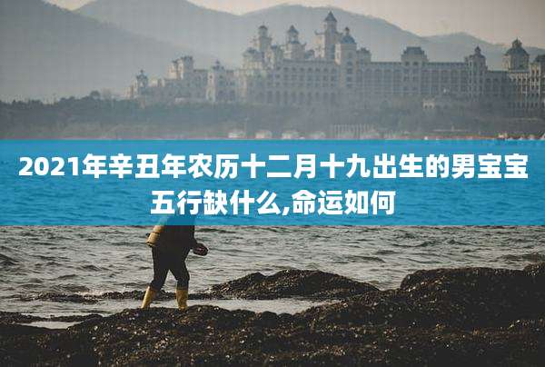 2021年辛丑年农历十二月十九出生的男宝宝五行缺什么,命运如何