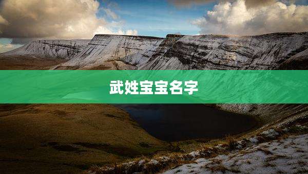武姓宝宝名字