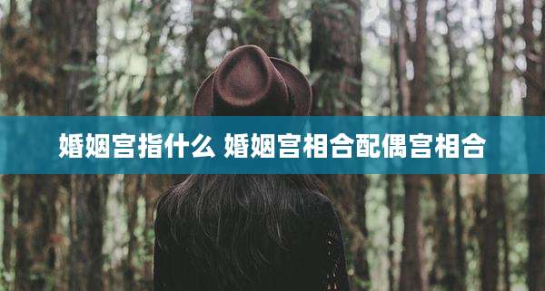 婚姻宫指什么 婚姻宫相合配偶宫相合