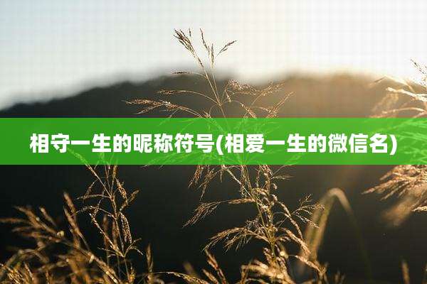 相守一生的昵称符号(相爱一生的微信名)