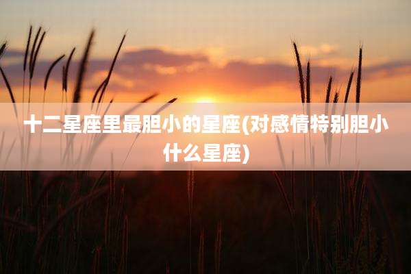 十二星座里最胆小的星座(对感情特别胆小什么星座)
