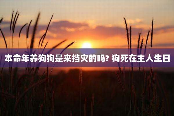 本命年养狗狗是来挡灾的吗? 狗死在主人生日