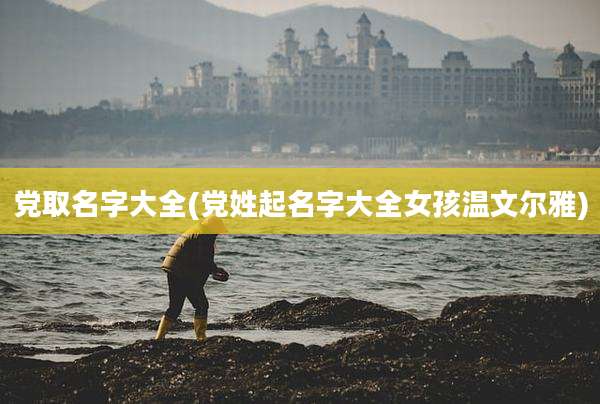 党取名字大全(党姓起名字大全女孩温文尔雅)