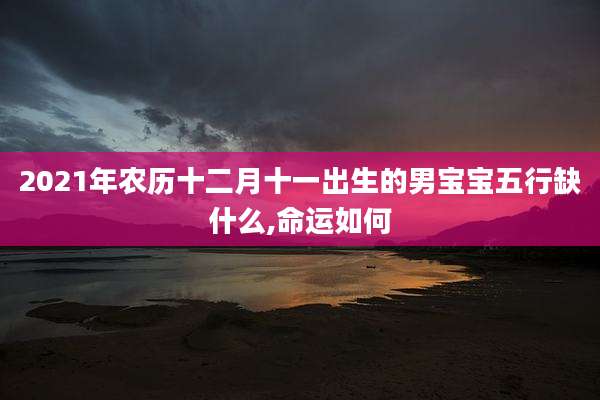 2021年农历十二月十一出生的男宝宝五行缺什么,命运如何
