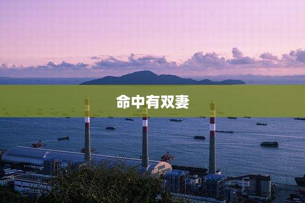 命中有双妻