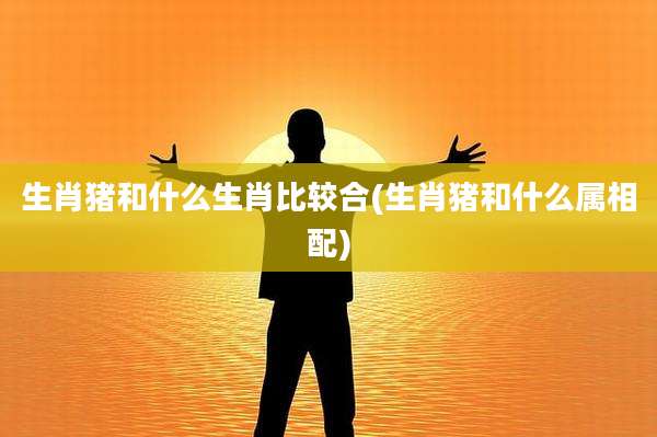 生肖猪和什么生肖比较合(生肖猪和什么属相配)