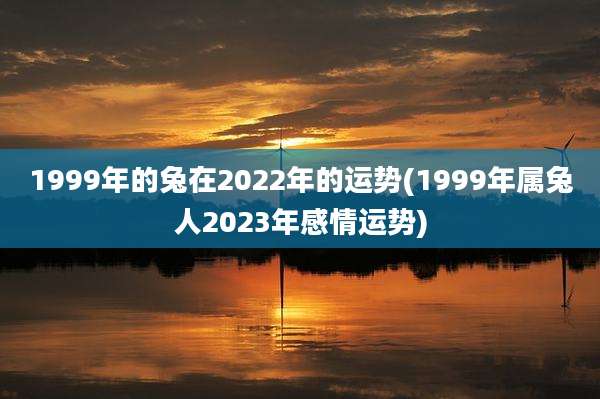 1999年的兔在2022年的运势(1999年属兔人2023年感情运势)