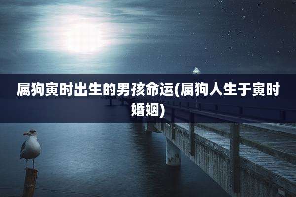 属狗寅时出生的男孩命运(属狗人生于寅时婚姻)