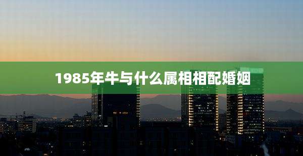1985年牛与什么属相相配婚姻