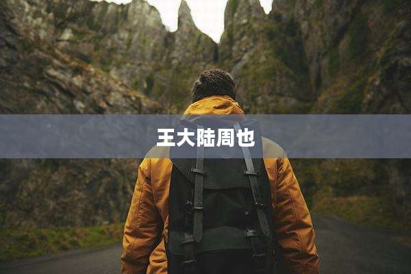 王大陆周也