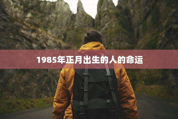 1985年正月出生的人的命运