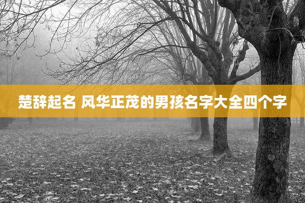 楚辞起名 风华正茂的男孩名字大全四个字