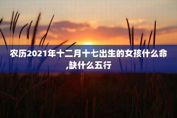 农历2021年十二月十七出生的女孩什么命,缺什么五行