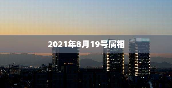 2021年8月19号属相