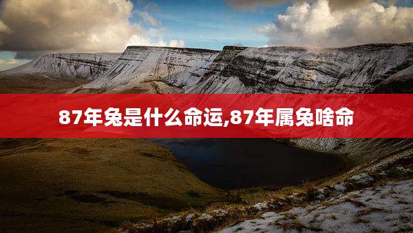 87年兔是什么命运,87年属兔啥命