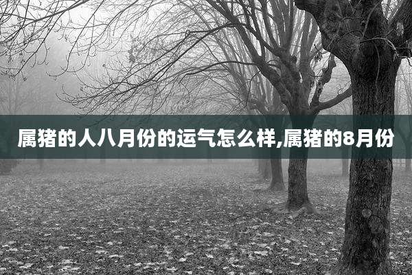属猪的人八月份的运气怎么样,属猪的8月份
