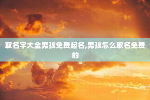 取名字大全男孩免费起名,男孩怎么取名免费的