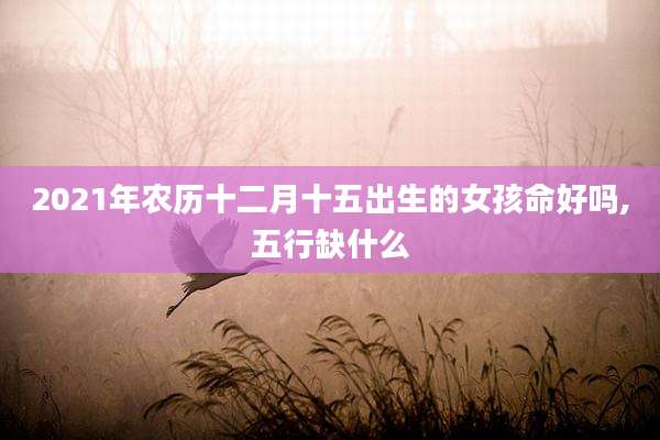 2021年农历十二月十五出生的女孩命好吗,五行缺什么
