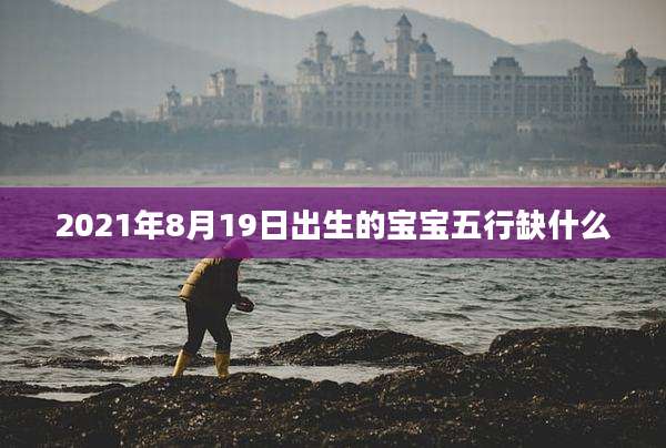 2021年8月19日出生的宝宝五行缺什么