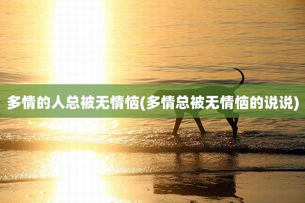 多情的人总被无情恼(多情总被无情恼的说说)