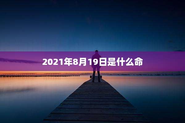 2021年8月19日是什么命