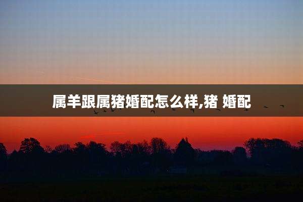 属羊跟属猪婚配怎么样,猪 婚配