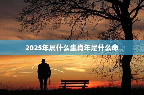 2025年属什么生肖年是什么命