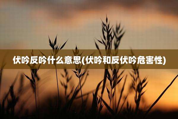 伏吟反吟什么意思(伏吟和反伏吟危害性)