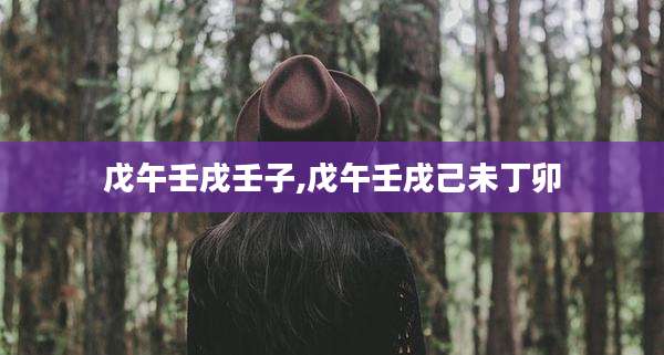 戊午壬戌壬子,戊午壬戌己未丁卯