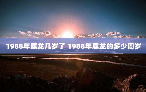 1988年属龙几岁了 1988年属龙的多少周岁